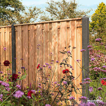 houtbetonschutting sfeer douglas