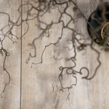 GeoCeramica® 30x120x4cm Timber Tortera