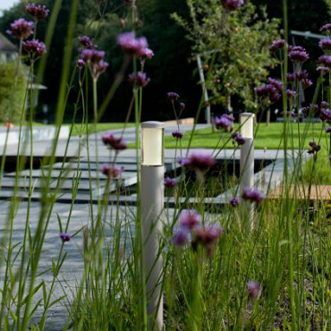 Solitary LIV Rosé Silver