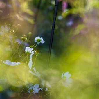 Solitary SWAY LIGHT HEAD PEARL GREY