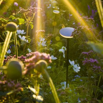 Solitary SWAY LIGHT HEAD PEARL GREY