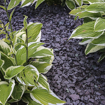 Canadian Slate Violet 10-30mm 20kg