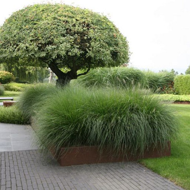 Borderpaneel Flex 42cm + toebehoren 220x42x3.5cm (LxHxB) Corten