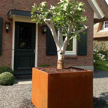 CARREZ met bodem 3000x1000x800mm Corten (CA18)