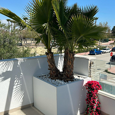 Plantenbak Vlak Wit 300x90x60cm