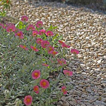 Castle grind 10-20mm 20 kg