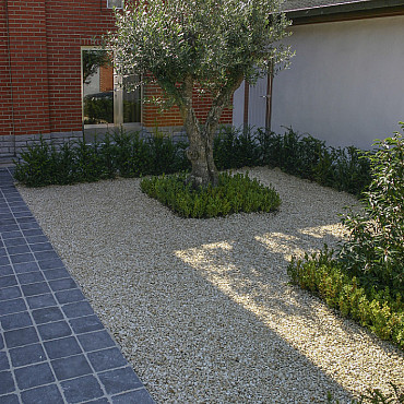 Yellow Sun split 8-16mm 25kg