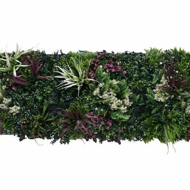 Aslon® Green Wall 50 x 50 cm Element Tropic A