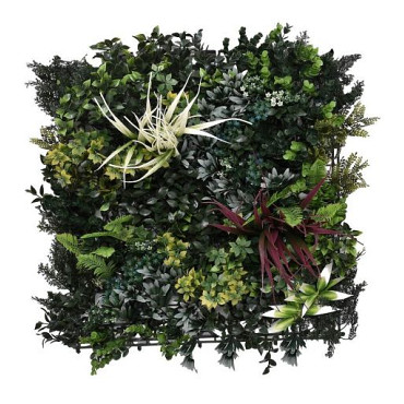 Aslon® Green Wall 50 x 50 cm Element Botanic B