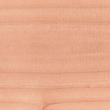 Veranda Excellent 600 Douglas 612x360cm dakplaten opaal onbehandeld