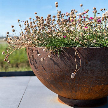 Bocca 1000x510mm Corten (BOC2)