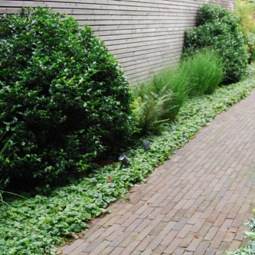 Gebakken waalformaat 6 cm Woubrugge getrommeld