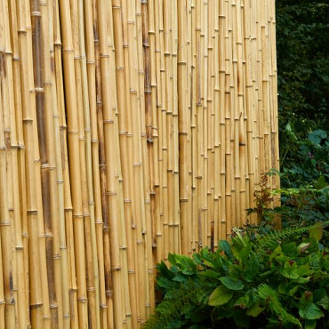 Bamboescherm op rol 180x180cm gelakt