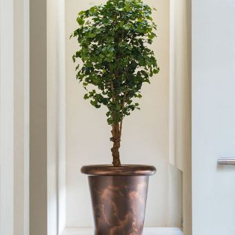 Tube Ø700x600mm Gecoat staal (ATC3)