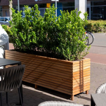 Malaga Rhombus 1000x1000x770mm Hardhout 21mm (HRS5.1)