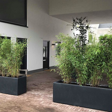 CARREZ met bodem 400x400x1200mm Polyester (PB10.4)