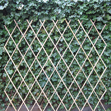 Harmonica Bamboe Trellis 180x180cm