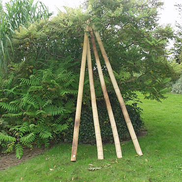Bamboepaal 300cm Ø10-12cm