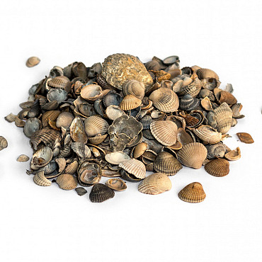 Schelpen 8-16mm 15Ltr