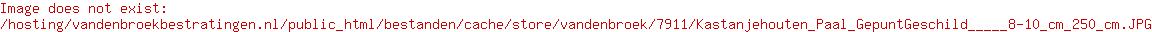 Kastanjehouten Paal Gepunt/Geschild  Ø 8-10 cm 250 cm