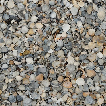 Schelpen 8-16mm 15Ltr