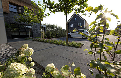 Nature Top (kleurecht)