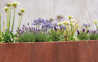 Constructieve elementen