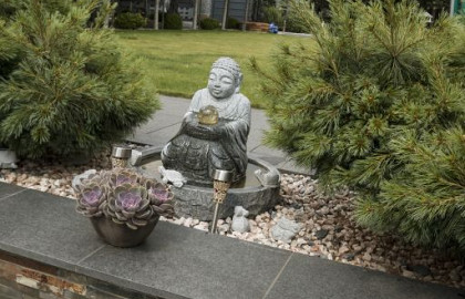 Vijverrand en zwembadranden