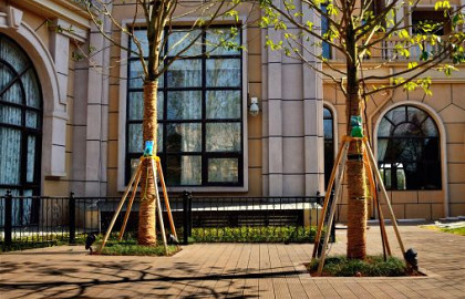 Vlonderplanken Thermo Bamboe