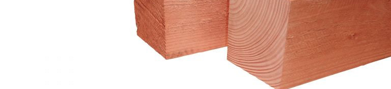 Palen Douglas