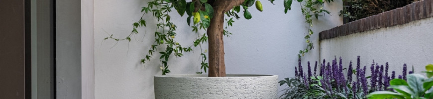 Stonecore Plantenbakken