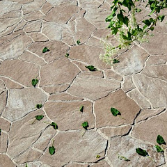 Beton Flagstones Latte