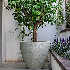 Stonecore Plantenbakken