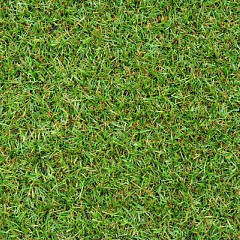 Kunstgras Premium Soft 2 meter breed